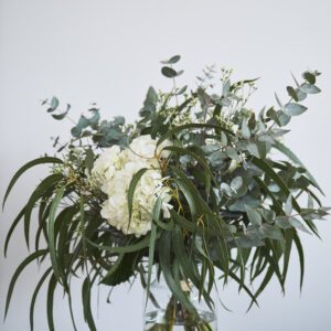 Hortensia Blanca