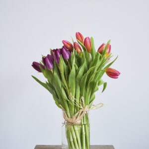 Ramo de Tulipanes