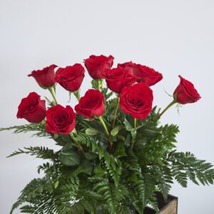 12 rosas rojas