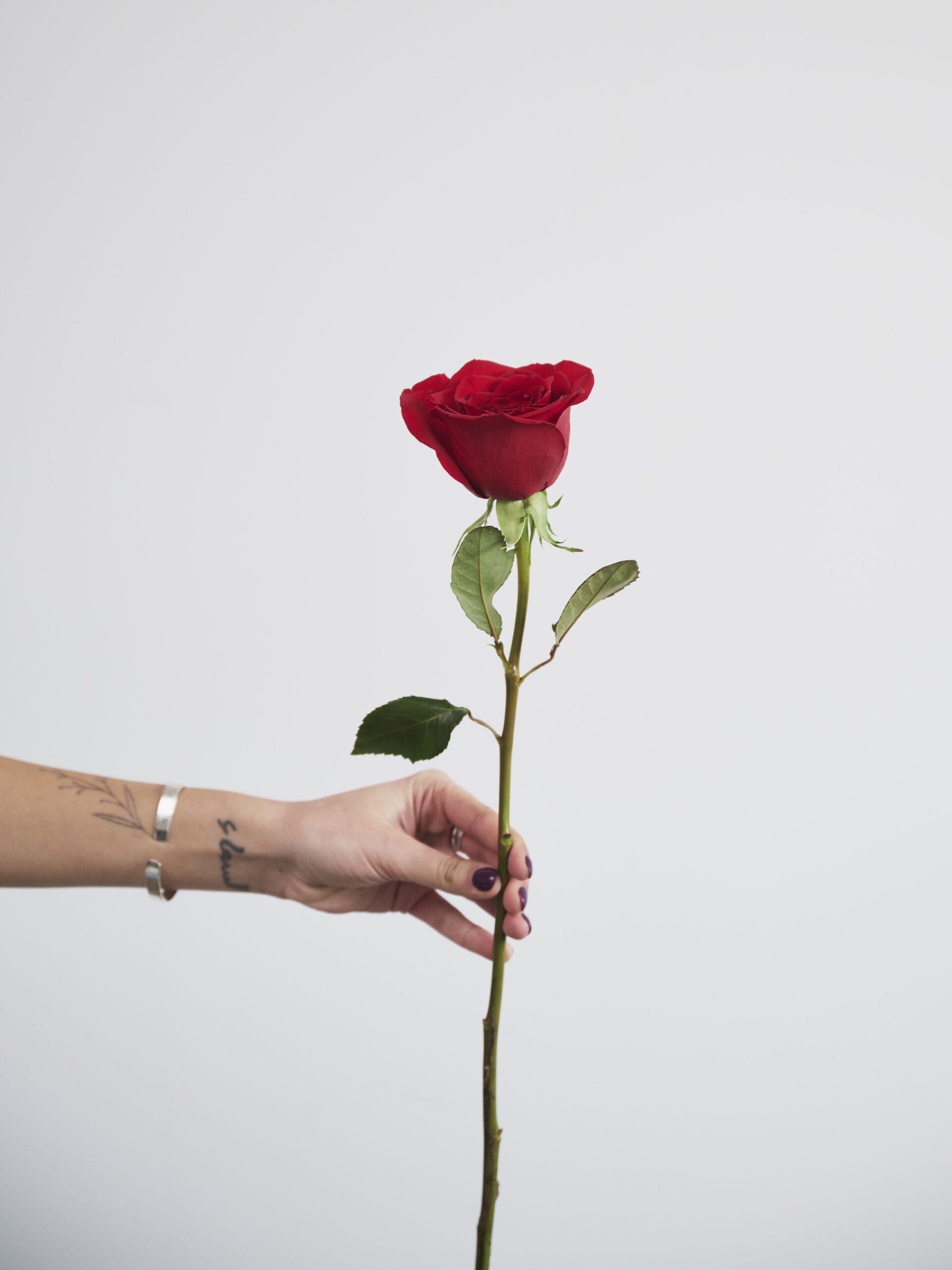 Rosa eterna