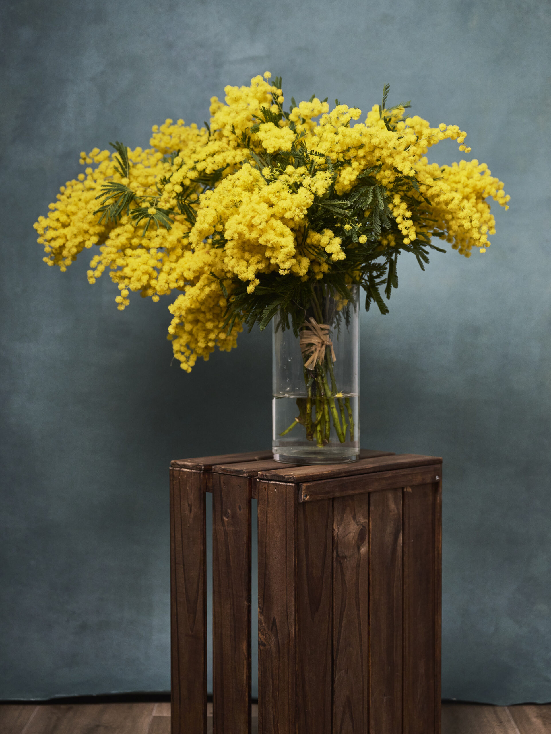 2025-02-18 Floristería El Arbol0987