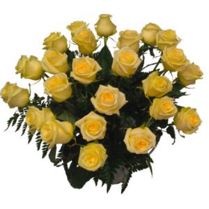 Ramo de 24 rosas