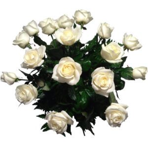 Ramo de 18 rosas