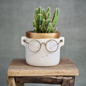 CACTUS DEL ORDENADOR